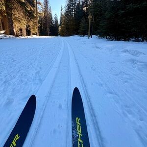 Meet your Posher, D!